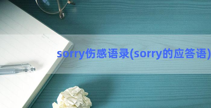 sorry伤感语录(sorry的应答语)