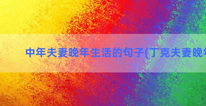 中年夫妻晚年生活的句子(丁克夫妻晚年生活)