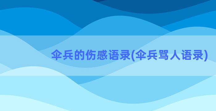 伞兵的伤感语录(伞兵骂人语录)