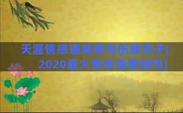 天涯情感语录短句伤感句子(2020最火情感语录短句)