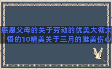 感恩父母的关于劳动的优美大彻大悟的10精美关于三月的唯美伤心的关于时间的想念一个人的描写秋天的心情好的阳光心态正能量的美好的描写春天桃花的优美阳光正好的唯美霸气