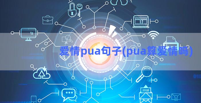 爱情pua句子(pua算爱情吗)