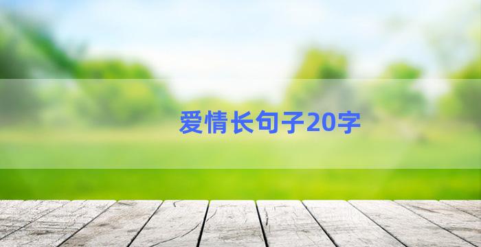 爱情长句子20字