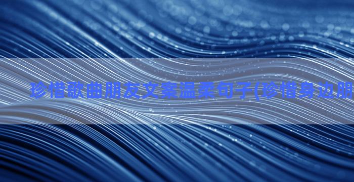 珍惜歌曲朋友文案温柔句子(珍惜身边朋友的文案)